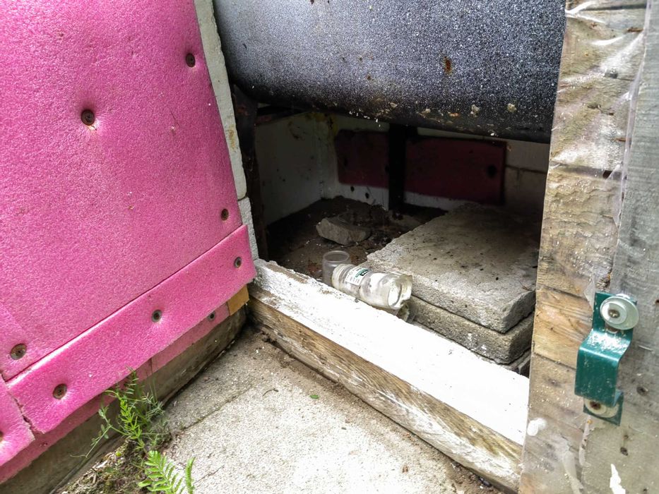 Wanna ocieplana na pastwisko