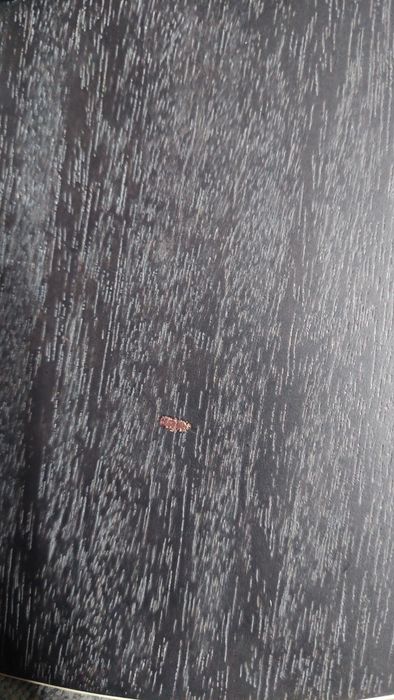 Guitarra Acústica Tanglewood TWBB SFC E Black Bird