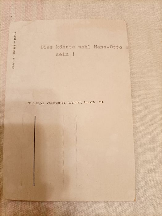 Stara pocztówka. Kot