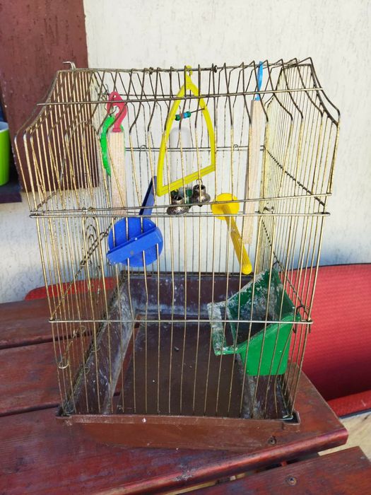 Клітка для Папуг в повному комплекті