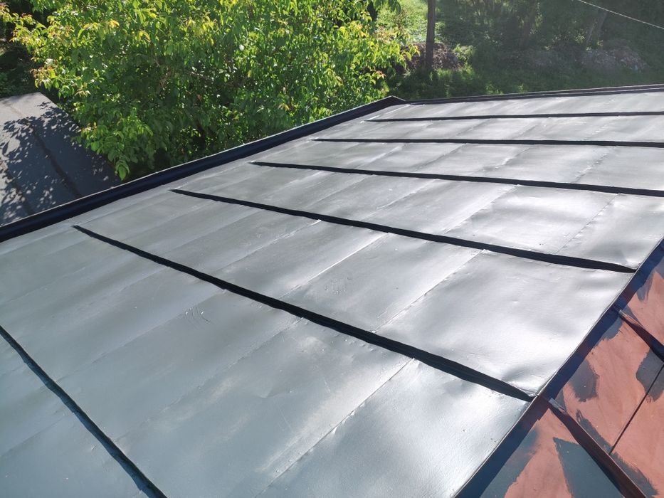 Malowanie dachów,mycie elewacji,remont komina, montaż podbitki oraz sn