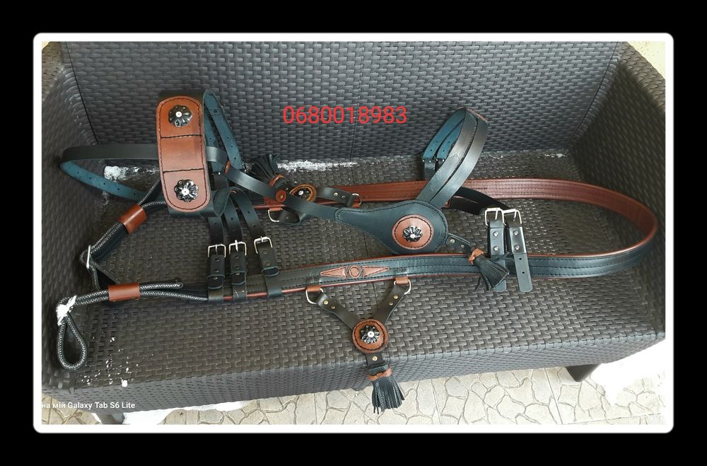 Шлея шкіряна для коня від 2500