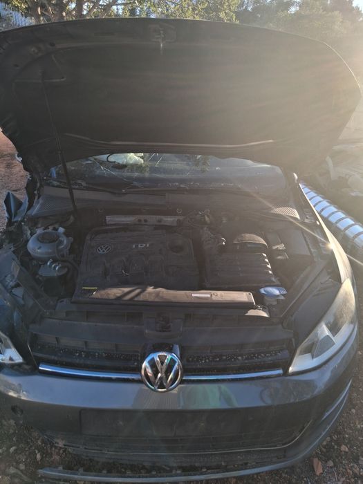 VW Golf