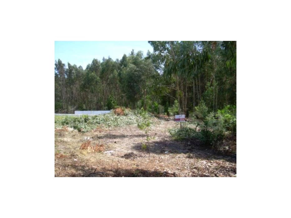 Terreno Venda Figueira da Foz — Lavos, Coimbra