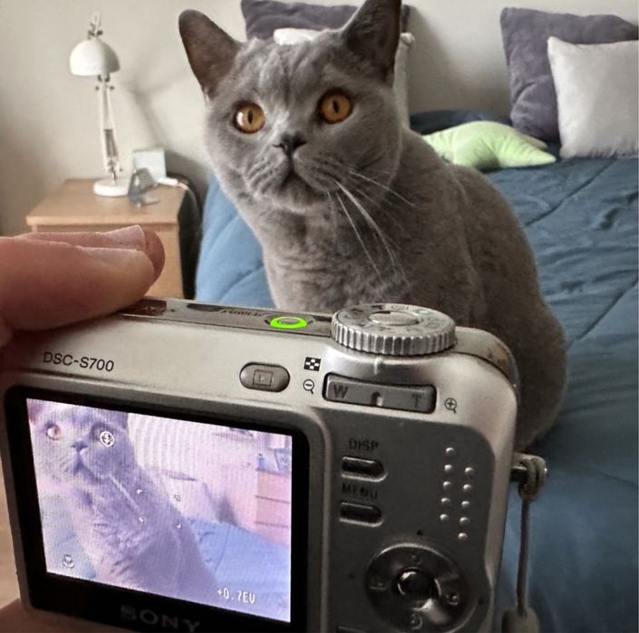 Máquina Fotográfica Sony Cyber-shot