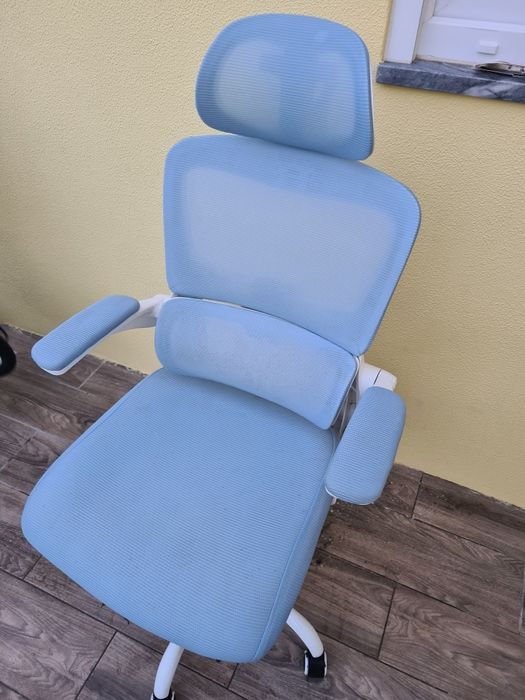 Cadeira Ergonômica Nova