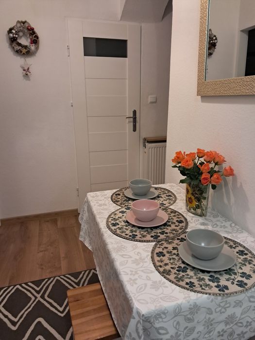 Samodzielne mieszkanie 2-pokojowe pod Wawelem na krótki termin.45m.