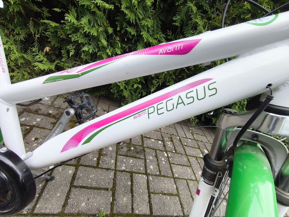 2 x Rower Pegasus awanti koła 26cali, rama 39 cm.