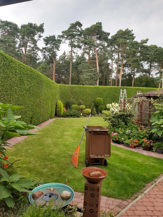 Wczesno wiosenne prace ogrodowe