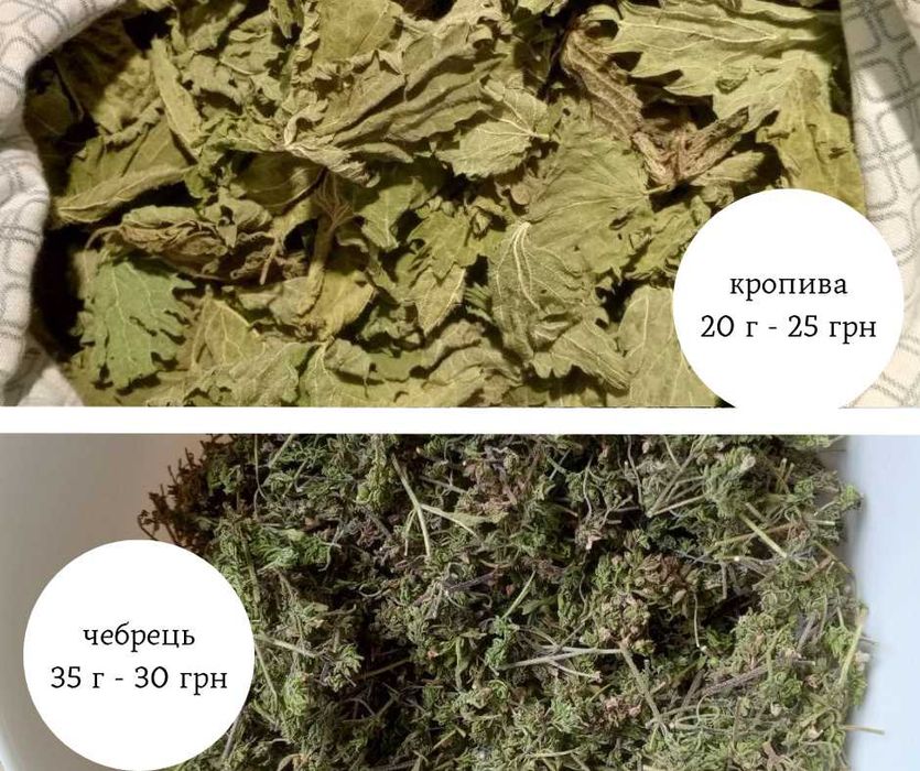 Лаванда чебрець календула чорнобривці шавлія троянда трав'яні чаї