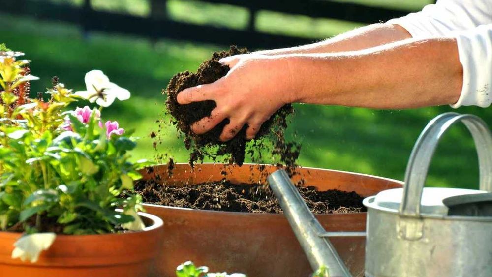 Ziemia 65l. uniwersalna  -KORA-GRYS-TORF-STANPOL