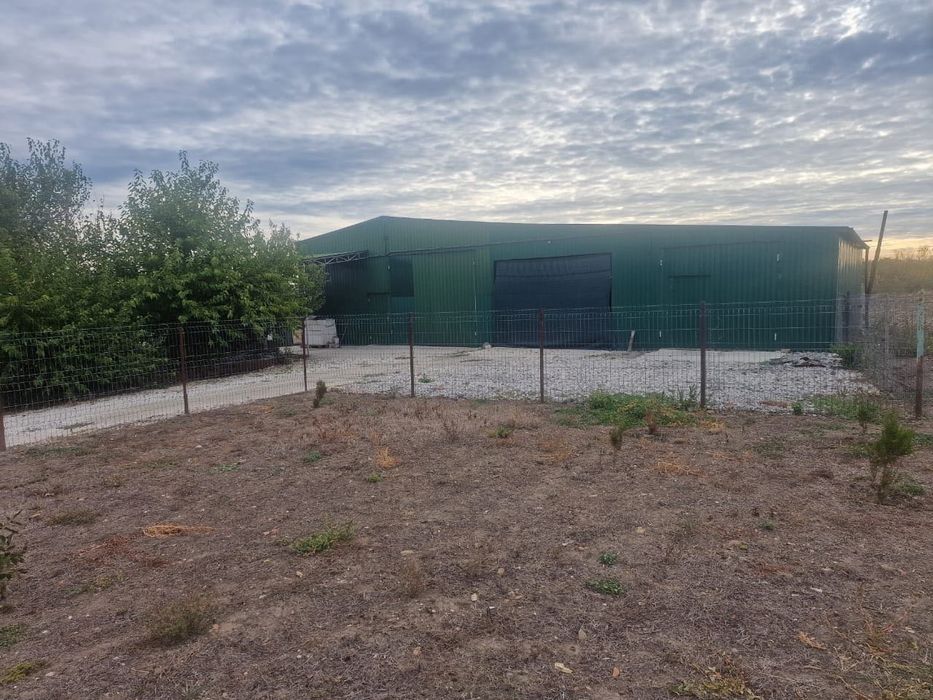 Продається будинок з господарством