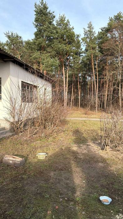 Продаж будинку біля Кременця