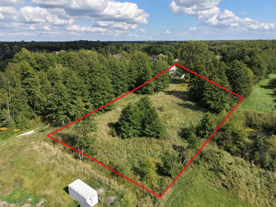 PIĘKNA DZIAŁKA BUDOWLANA 3233M² Z MPZP, z drzewami na działce, regularny ksztalt i potencjał podziału, Radziwiłłów - Widok 3