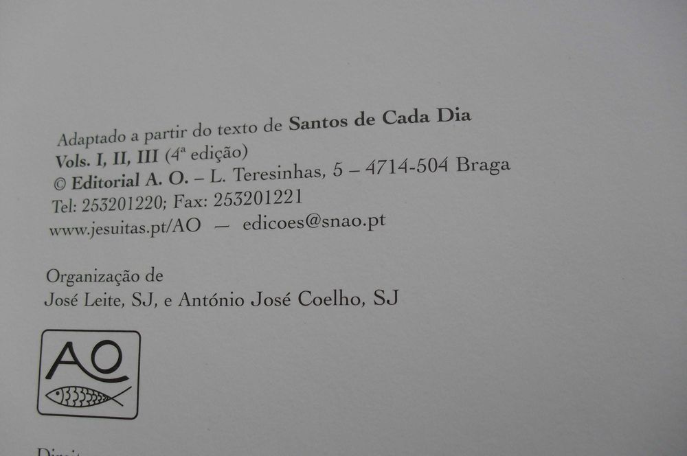 Coleção Santos de todos os dias