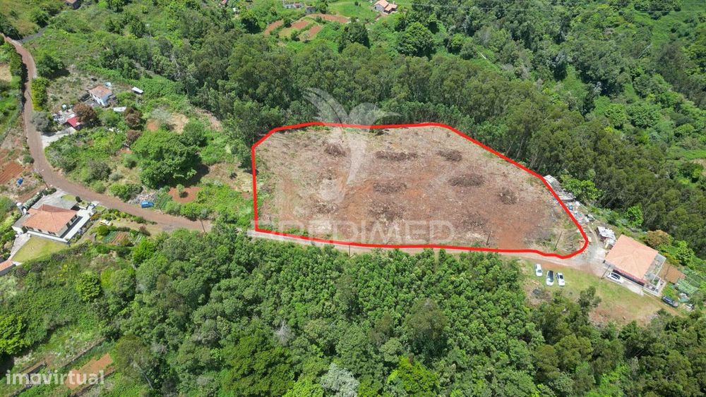 Terreno 7.220 m² plano no Santo da Serra – Ideal para Turismo Rural...