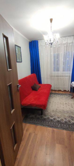 Pokój do wynajęcia