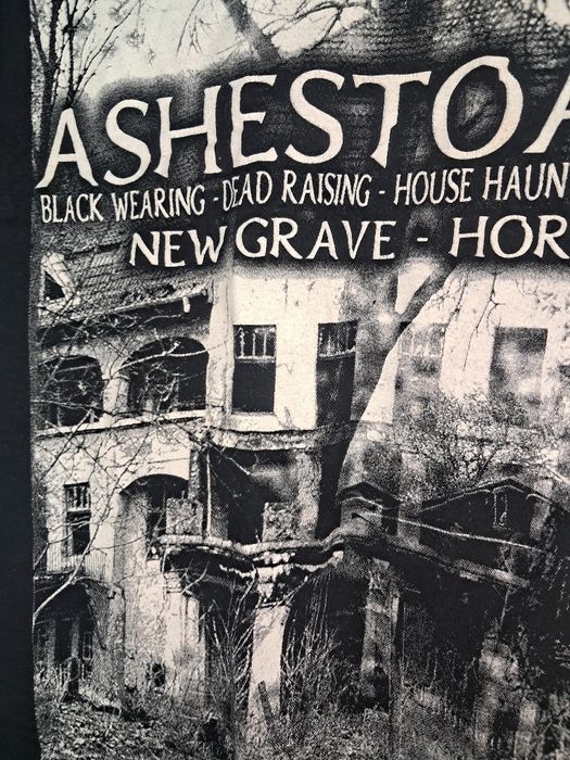 Футболка мерч Ashestoangels metal horror punk Gothic rock  рокерская недорогая Gildan