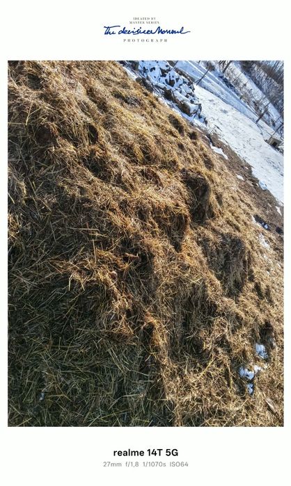 Sprzedam obornik krow