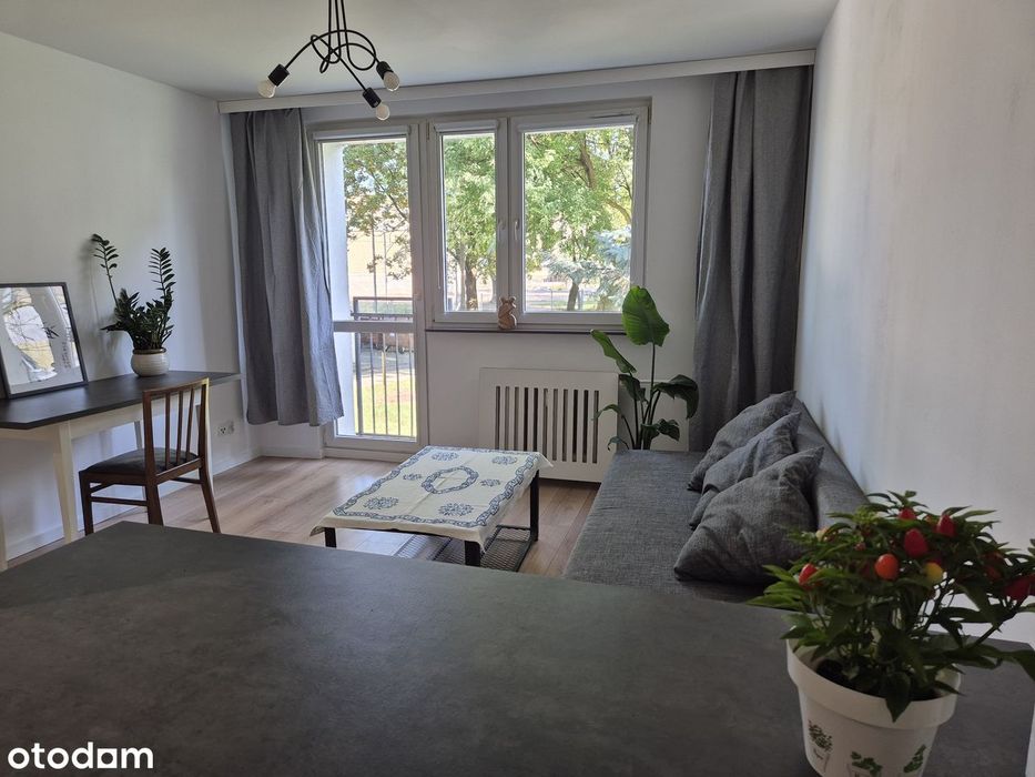 2 Pokoje | 33,4 M² | Grunwald_rezerwacja