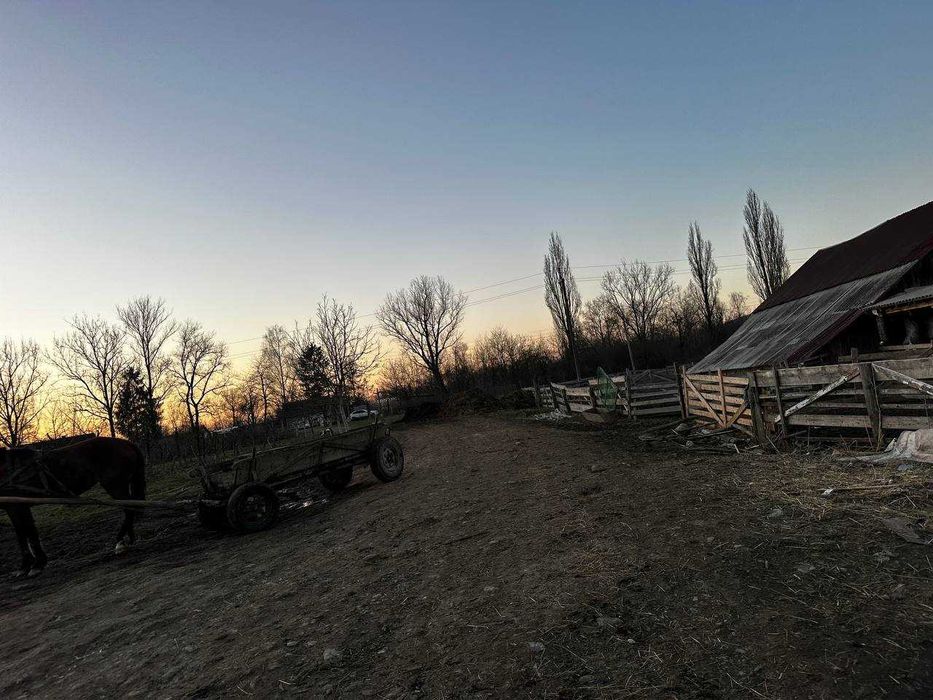 Продаж комерційного об'єкту - бойні в м. Тячів