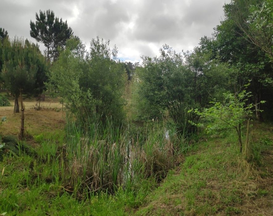 Quintinha casinha em pedra