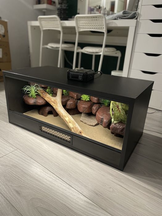 Terarium czarne z dodatkami