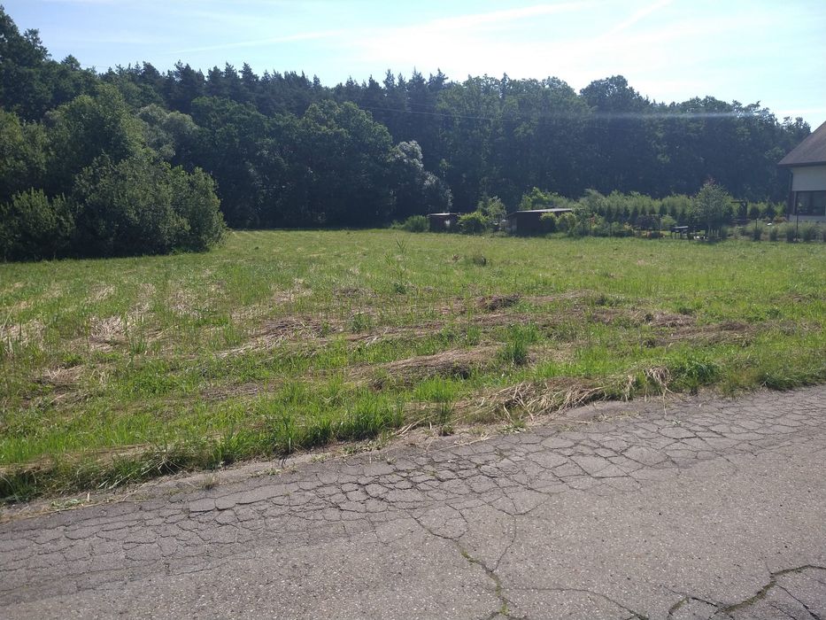 Działka przy lesie 25arów, płaska. Piła Kościelecka