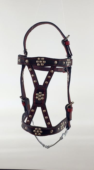 Кінна амуніція, Вуздечка , гнуздечка , кантарка, шкіра ручна робота