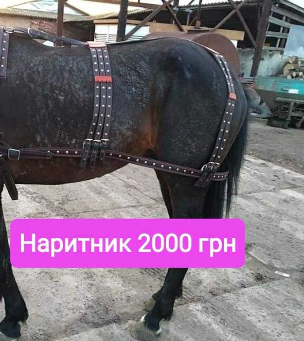 Виготовляємо упряж для вашого коня,обродь