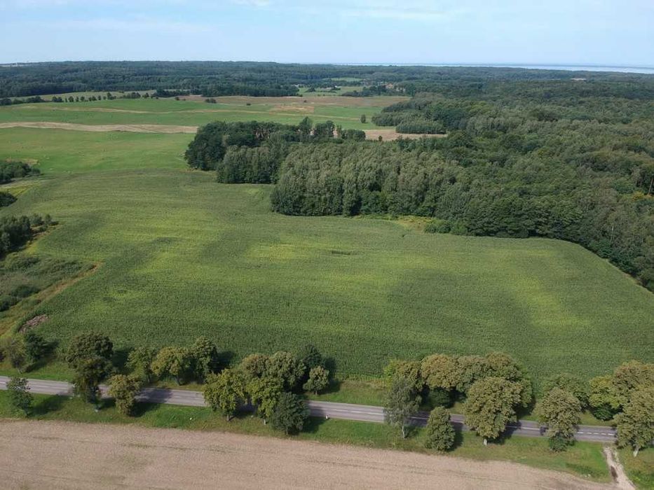 7,4 HA GRUNTU ROLNEGO – HUTA ŻUŁAWSKA – Asfalt – Blisko Elblaga