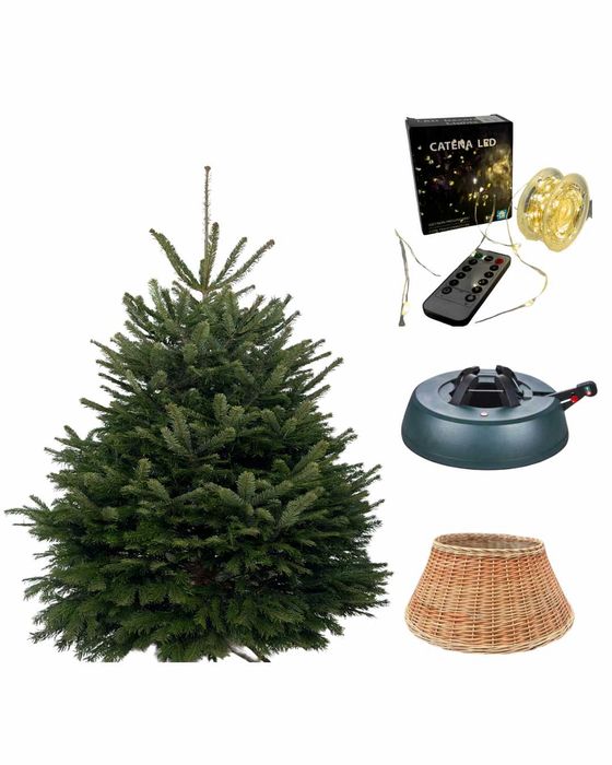 Вигідна пропозиція/Новорічна жива ялиця НордманА/ДОСТАВКА САНТОЮ