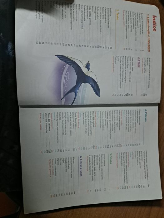 Livro 1°ciclo gramática