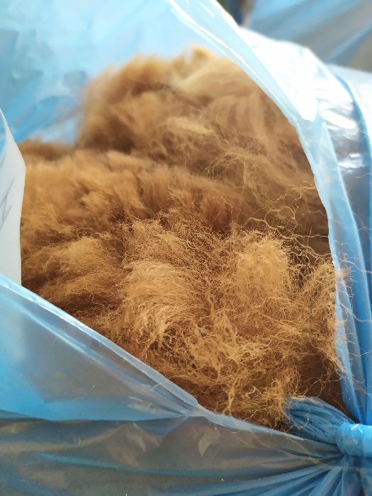 runo alpaki alpak alpaka