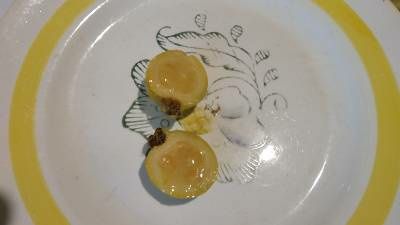 Гуава Кеттли (лимонная) Псидиум прибрежный