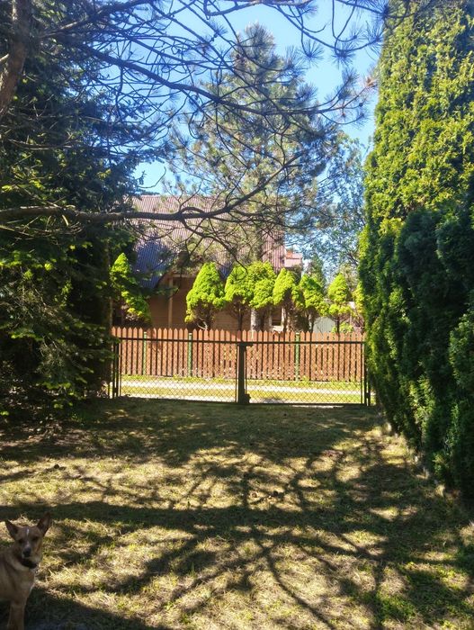 Działka ROD Jarzynka w Dobczycach - Widok 6