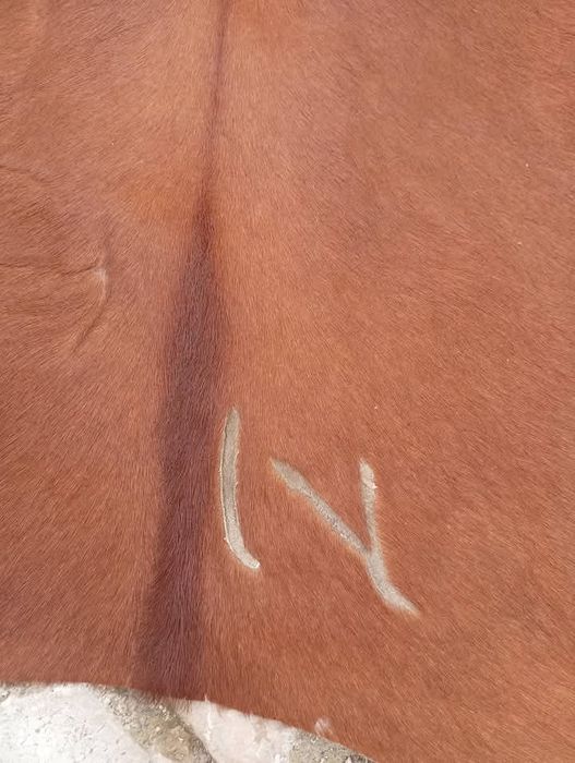 Pele de vaca (tapete)