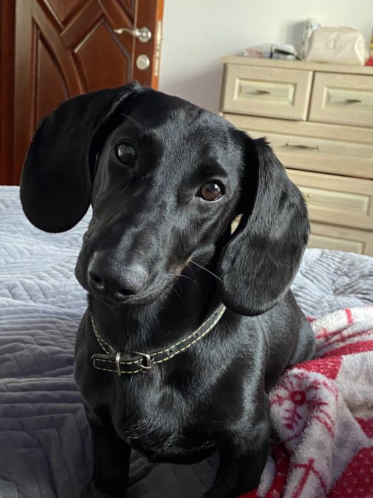 Вʼязка такси