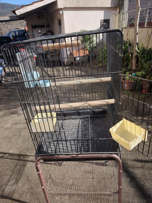 Gaiola para pássaro