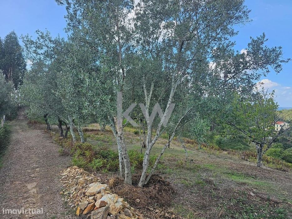Terreno Rústico | Casal do Lobo | Santo António dos Olivais | Coimbra