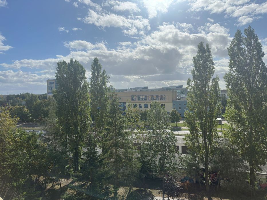 Zdjęcie 5