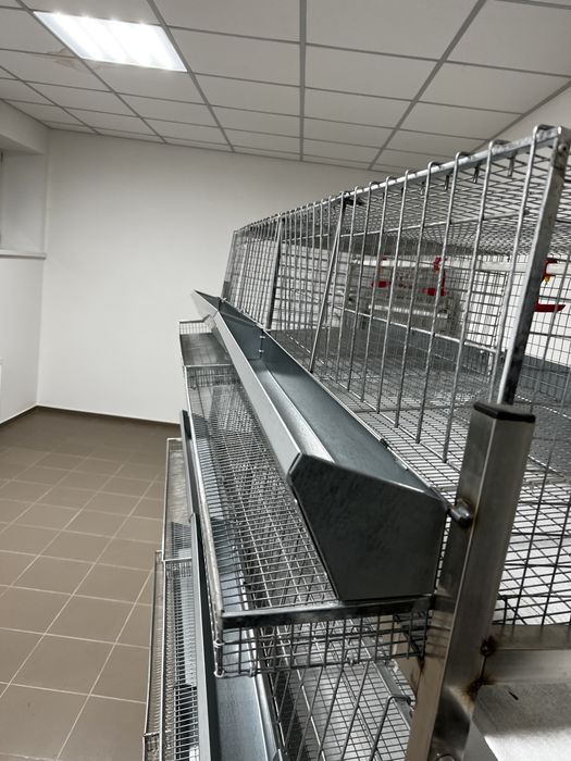 Клітки для курей несучок з нержавійки і навозовидаленням від виробника