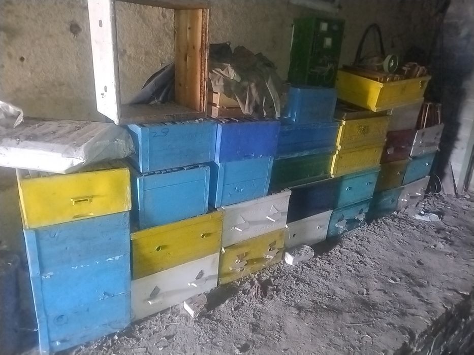 Продам вулики для бджіл