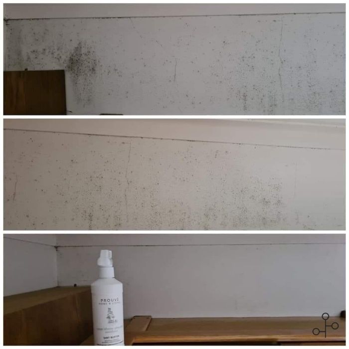 Prouvé - entrega imediata - Dirt Buster