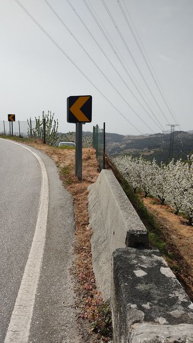 Vendo Pomar-terreno 5.000 m2