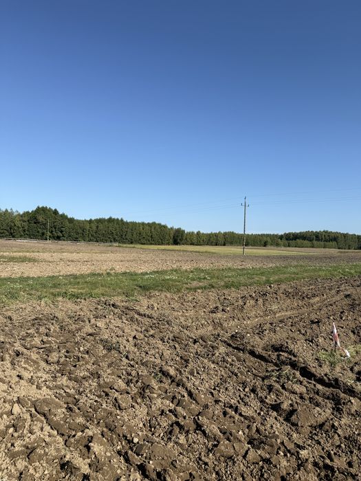 Sprzedaż działek budowlanych- Gmina Ścinawa - Widok 2