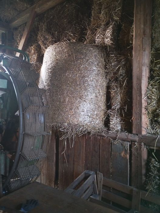 Słoma w balotach 120