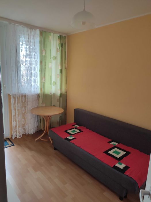 Zdjęcie 8