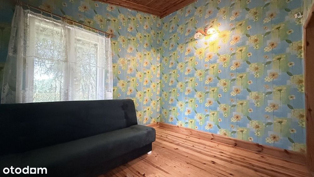 dom nad jeziorem przy lesie