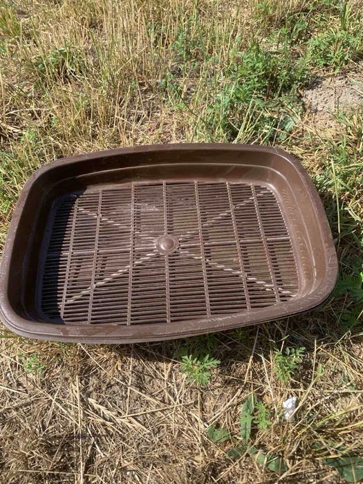 Лоток для собаки і котів
